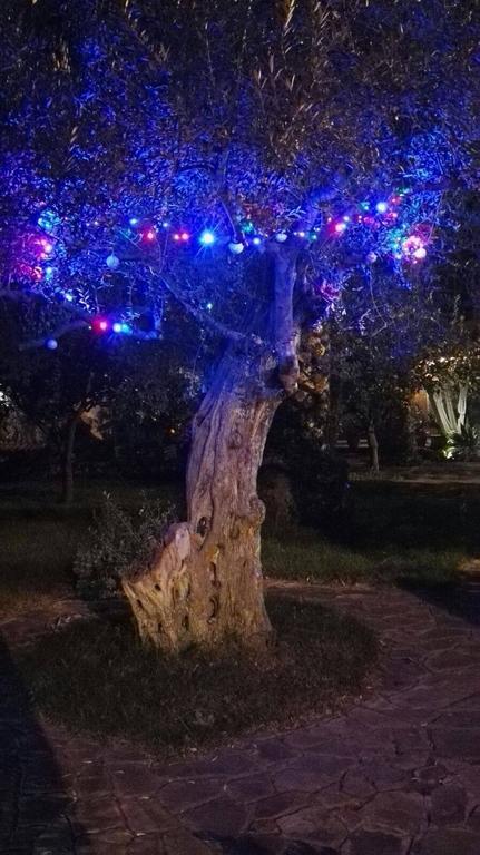 Al Vecchio Pozzo Appartement Campobello di Licata Buitenkant foto